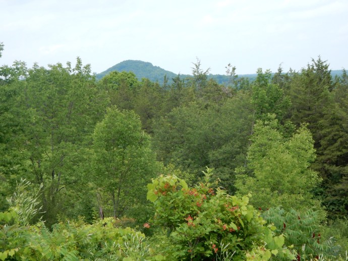 Dundee Mtn in the background, a glacial kame