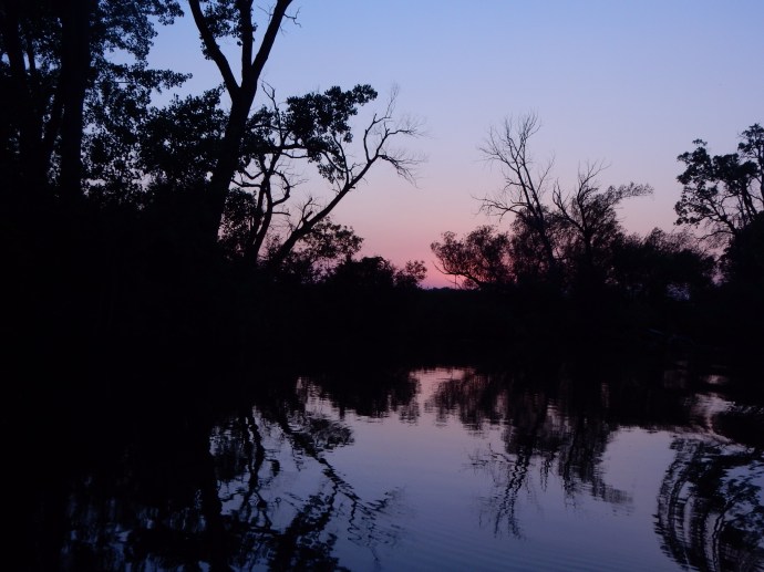 The marsh at sunset