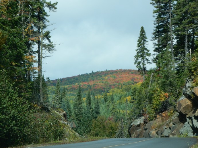 The mountains are alive with color