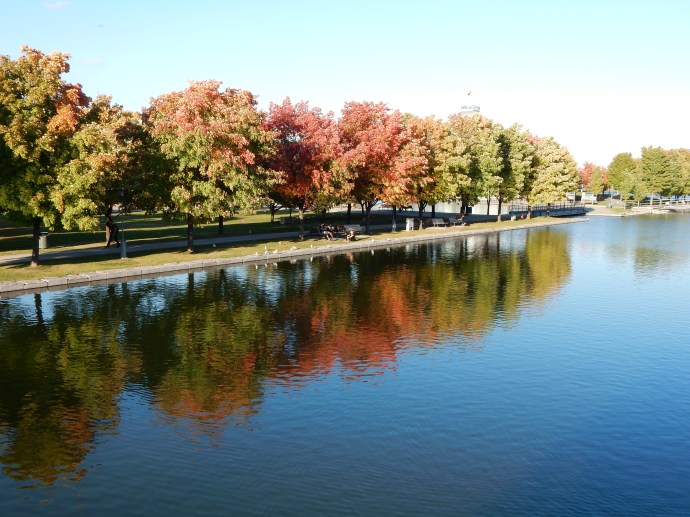 Along the Old Port area