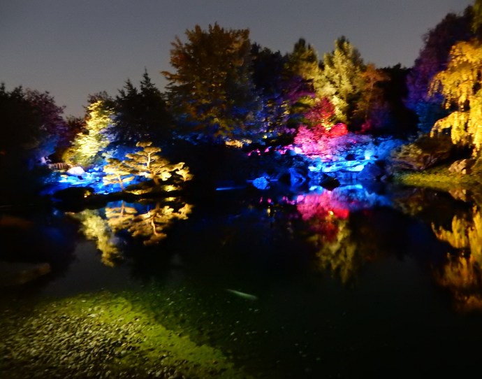 Japanese Garden at night at Montreal Botanical Gardens
