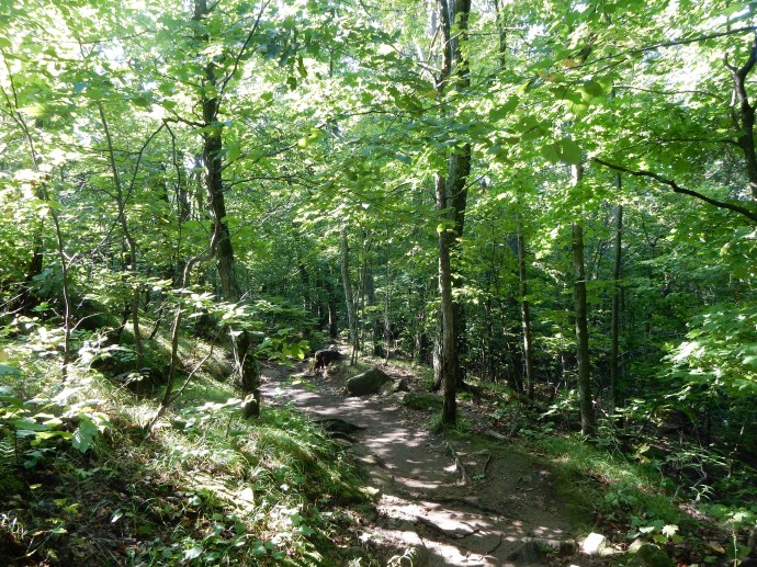 Our King Mountain hike