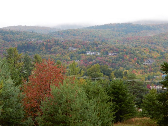Fall leaf color as seen from our  unit