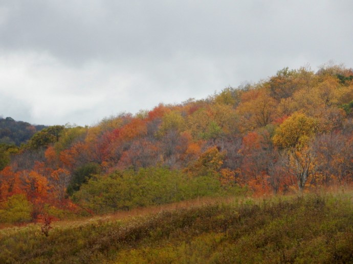 Driving through the Allegheny Mountains