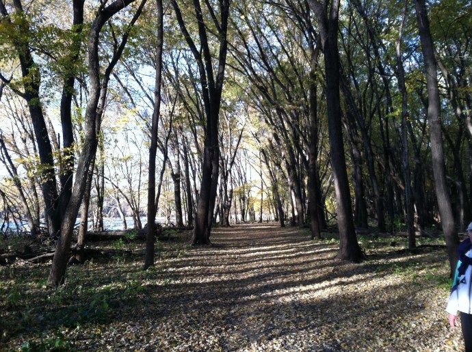 Back home in St. Paul Crosby Farm Park