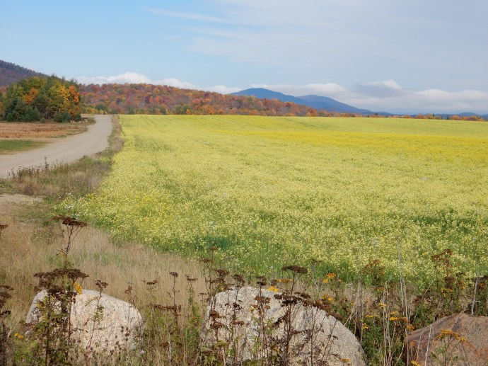 On our way around the Adirondacks