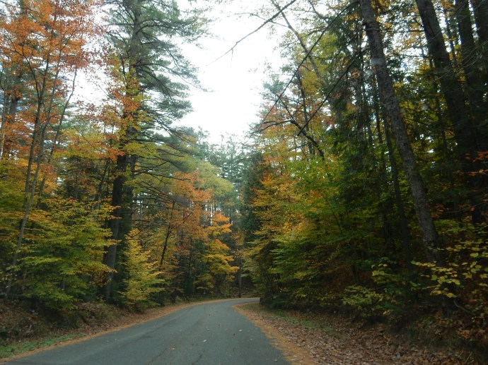 driving through the Adirondacks