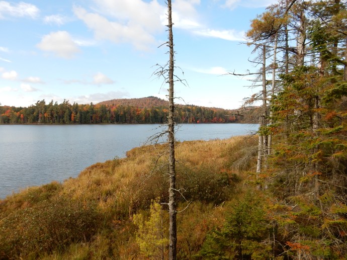 Along our hiking trail