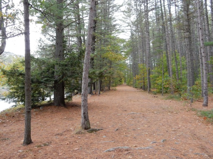 The afternoon hike, nice and easy along the Hudson