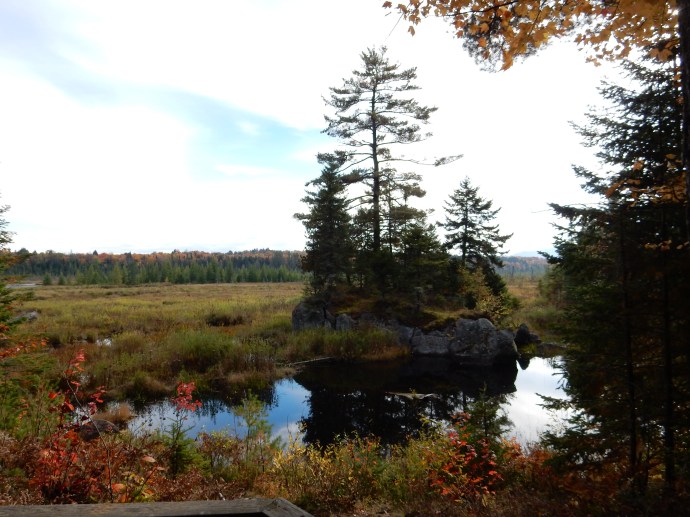 Along the hiking trail