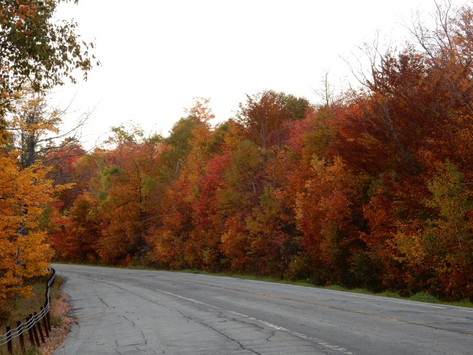 On the road heading back to our lodging