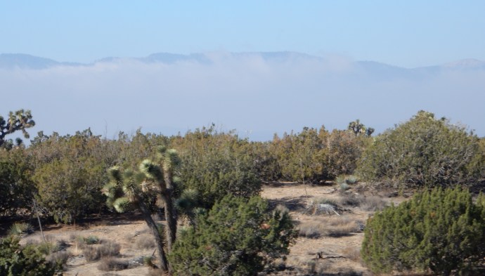The cloud banks start to roll in on us