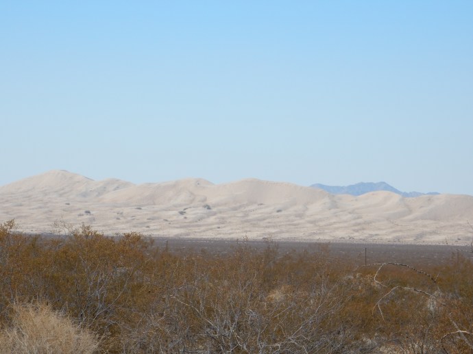 Kelso Dunes in Mojave National Preserve 