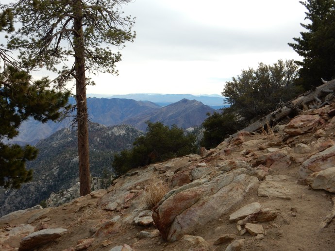Hiking in San Jacinto State Park