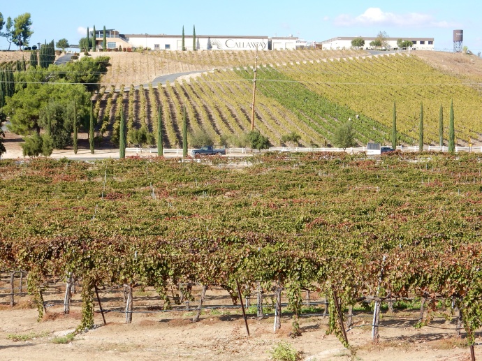 A view of some vineyards and a winery.