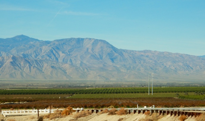 Imperial Valley agricultural view