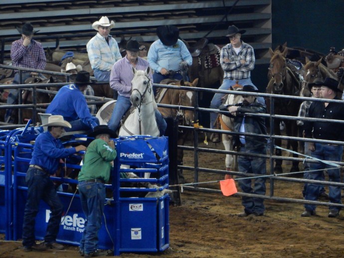 The 50+ rodeo participant