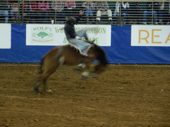 At the Kissimmee Silver Spur rodeo