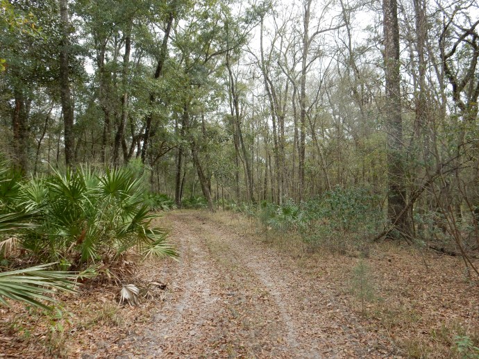 Along the North End trail