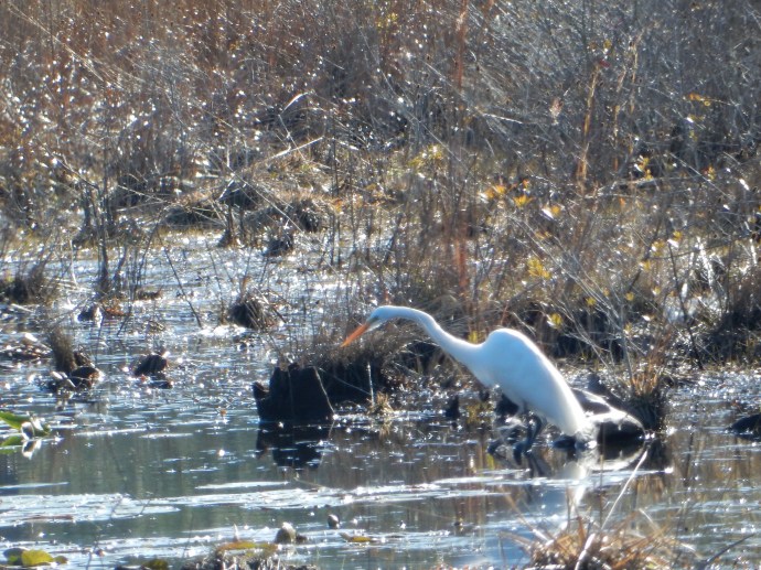 Rocky Bayou state park