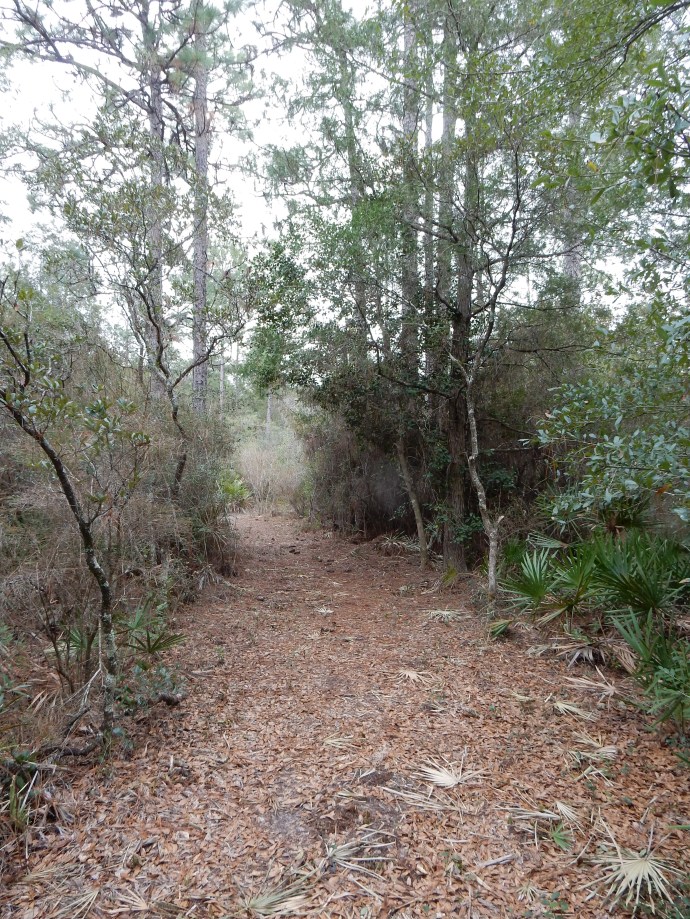 Nature trail at Adventures Unlimited