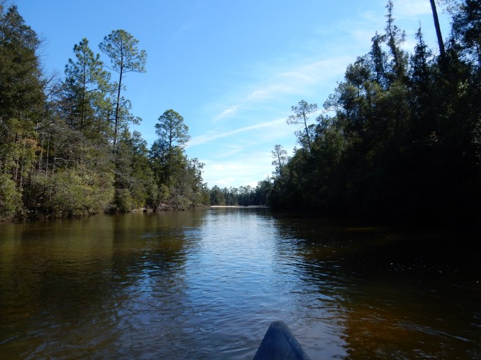 Coldwater Creek-straight stretch