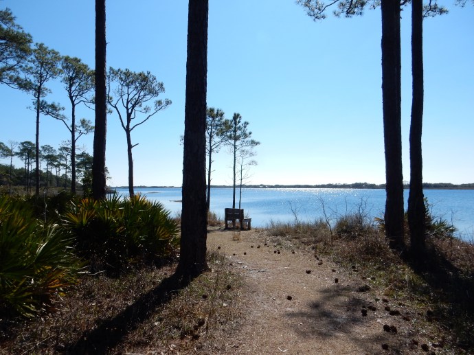 Another view of Campbell Lake at Topsail