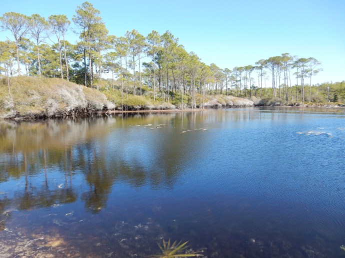 No name lake, one of the freshwater lakes