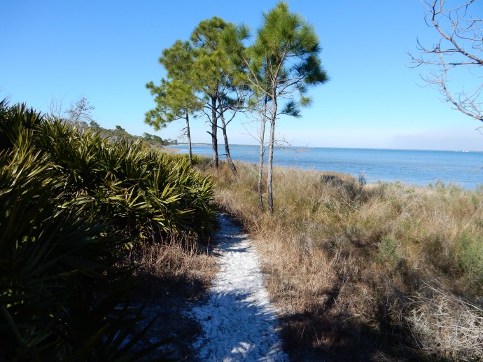 Walking in St Joseph Peninsula State Park