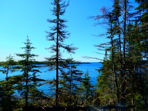 View from Scoville Point Trail