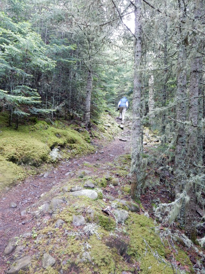 The trail to Suzy's Cave