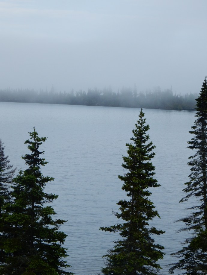 The fog starts to move in