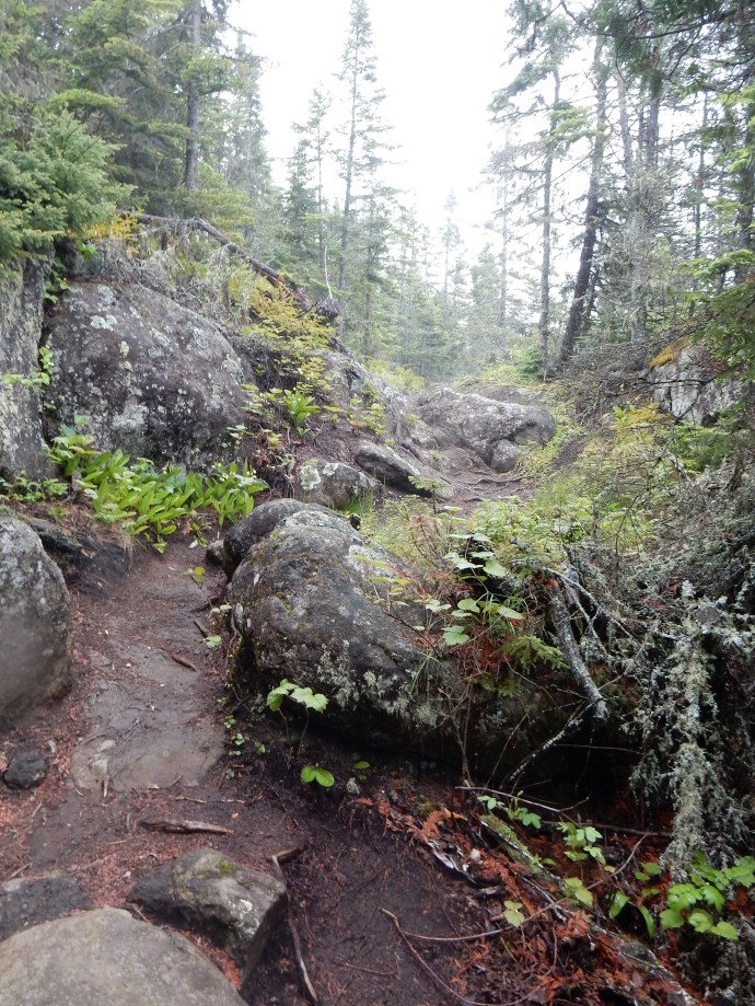 The trail coming back from Suzy's cave