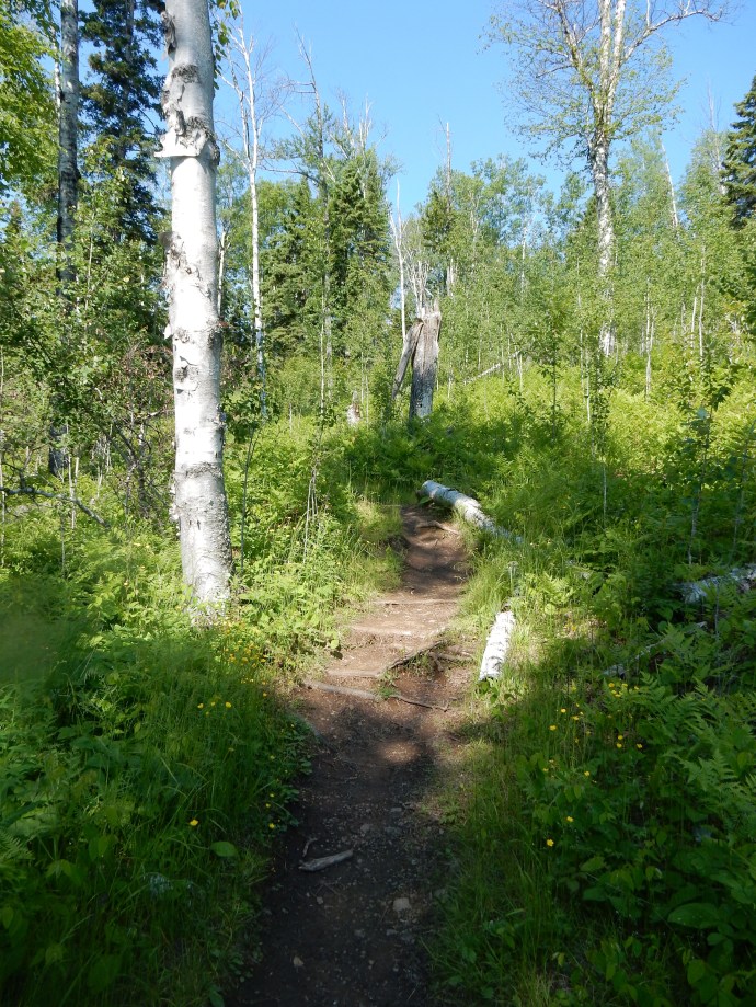 Hiking to Lookout Mountain