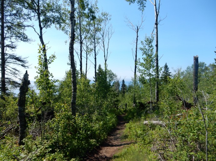 View of Lake Superior from the trail