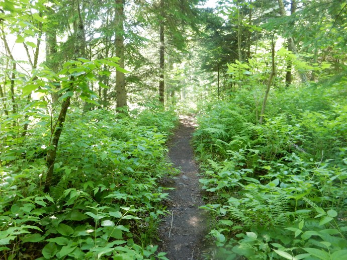 The hike along the cascades of the Baptism River