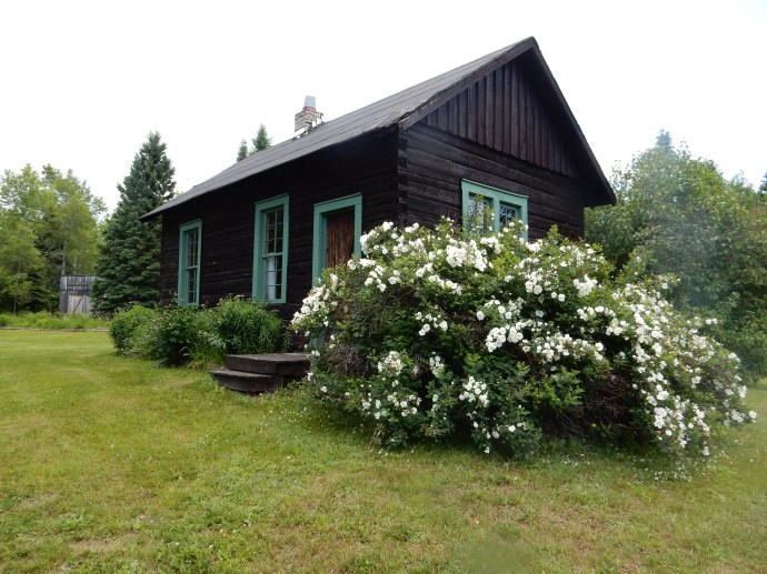 Finnish bachelor farmer homestead