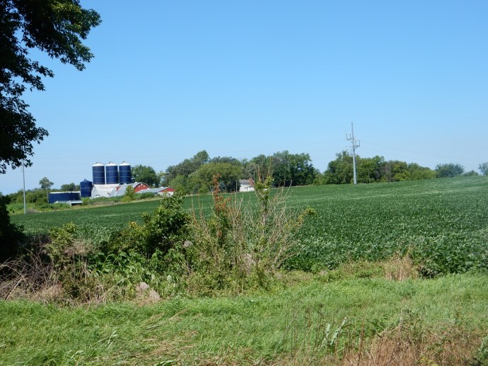 Along the bike trail