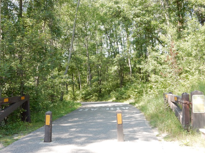 Part of the bike trail