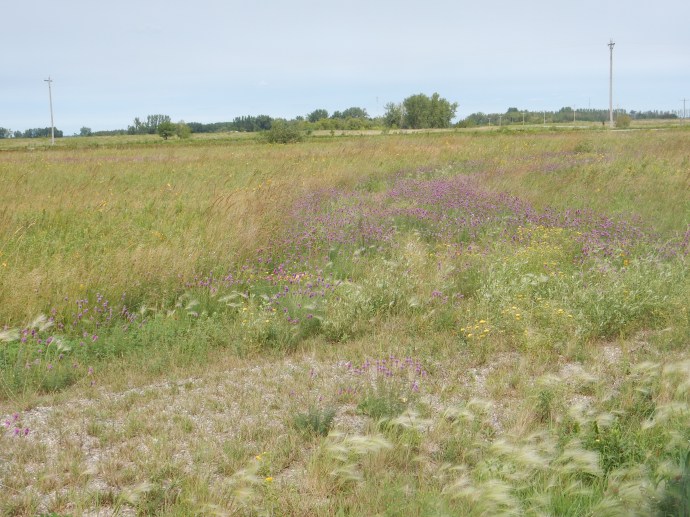 Glacial Ridge Wildlife Refuge