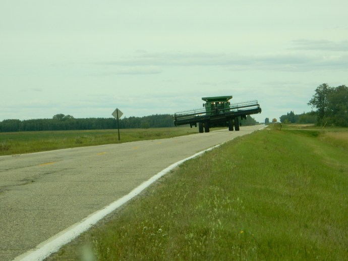 Along the road in MN
