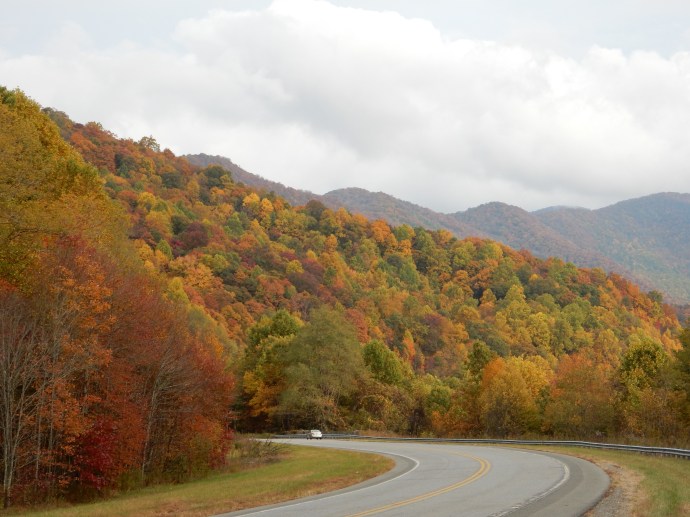 Driving through North Carolina on a stretch on easy driving. 