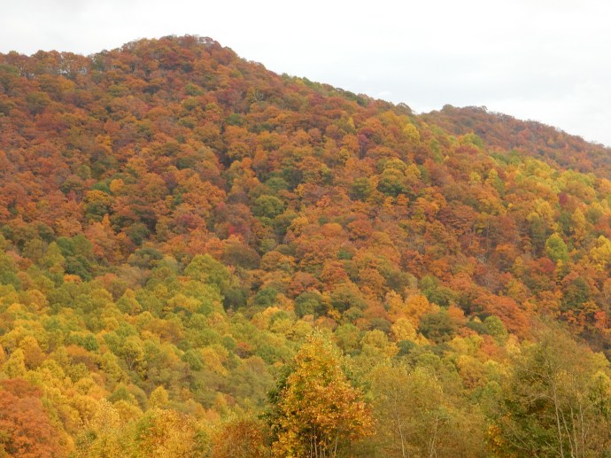 North Carolina mountains
