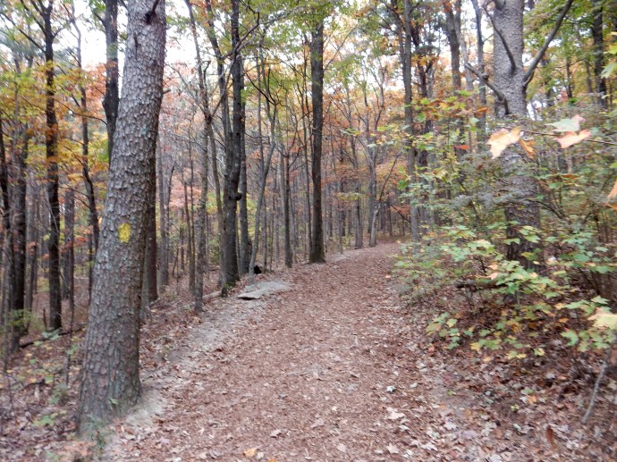 The deceptive path that sucked us in Fort Mountain State Park GA