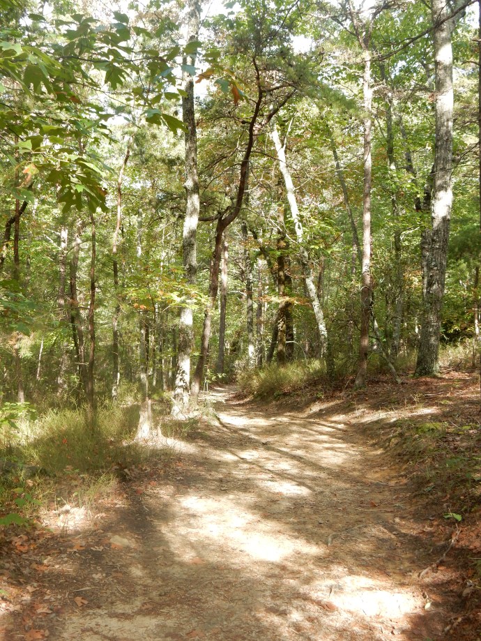 North rim trail at Tallulah Gorge