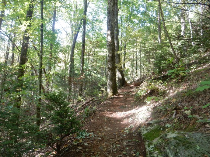 The trail to DeSoto Falls
