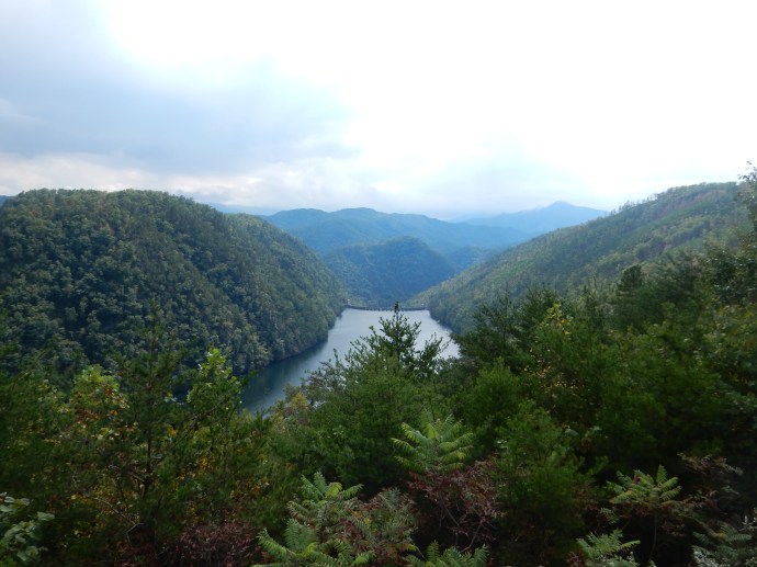 A view from the overlook along the Tail of the Dragon