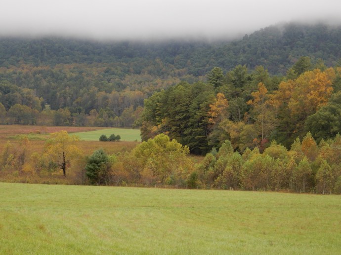 Part of Cades Cove area