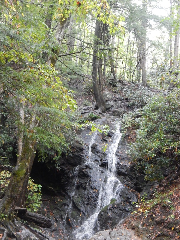 Just a small falls, Cataract Falls, near the visitor center at Great Smoky National Park 