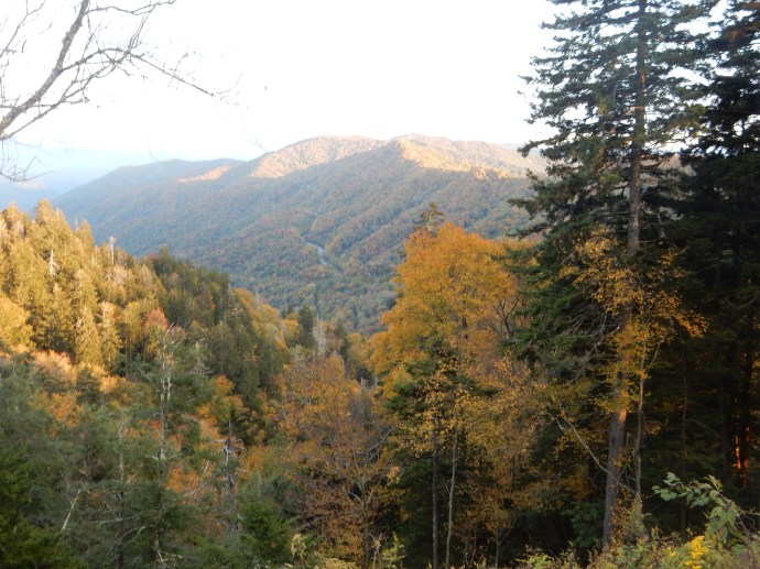 View from Newfound Gap Road